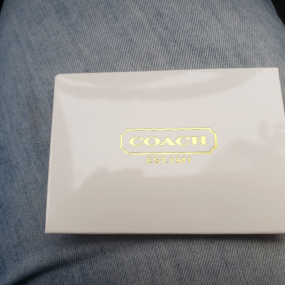 coach mirror - Picture 4 of 4